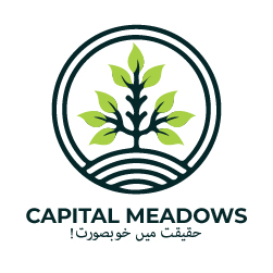 logo design for capital medows logoby sea pro marketing